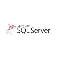 ПО Microsoft SQL Server Standard 2019 English DVD 10 Clt (228-11548)